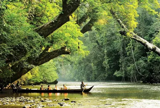River and rainforest at Kuala Tahan, Taman Negara